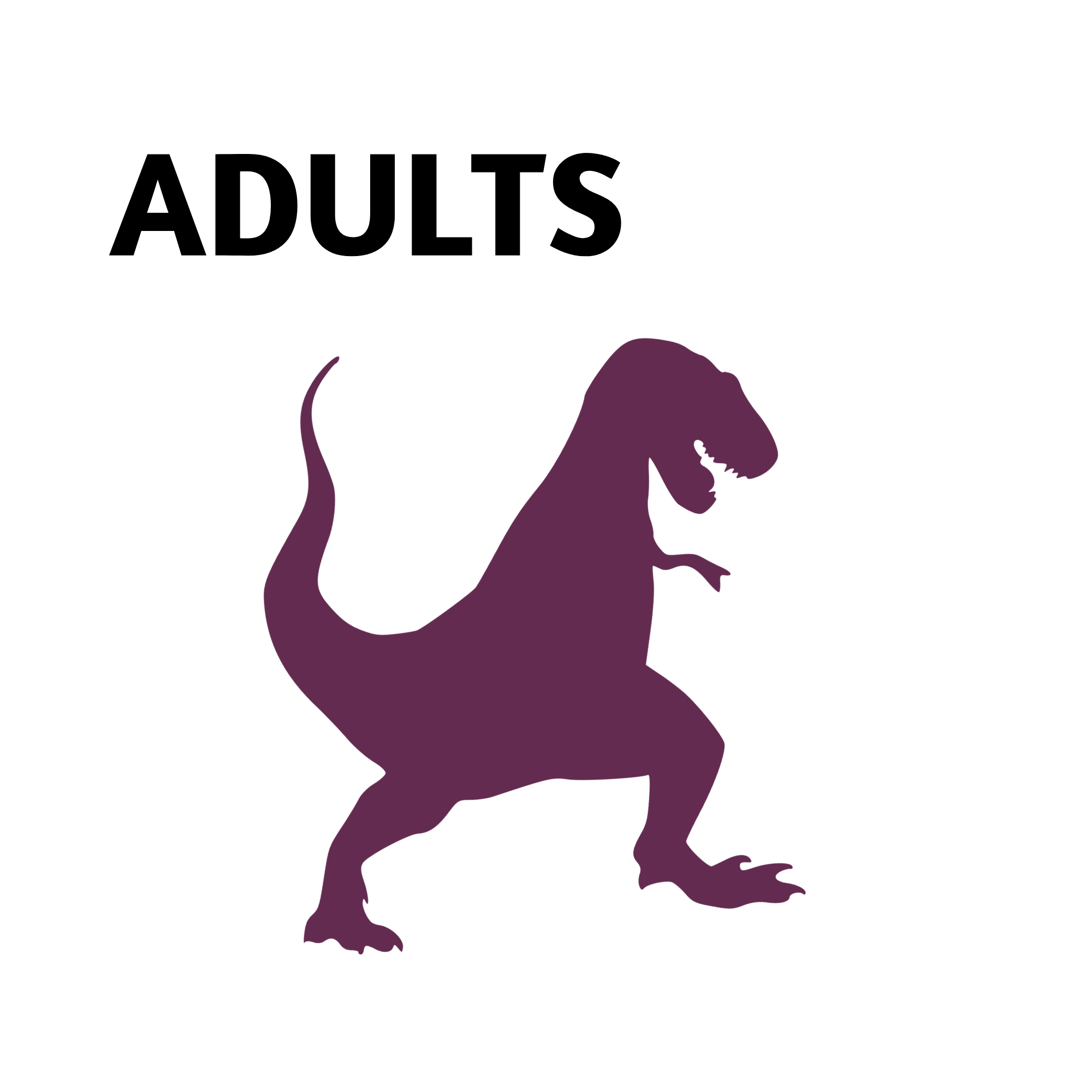 decorative image describing the text for adults